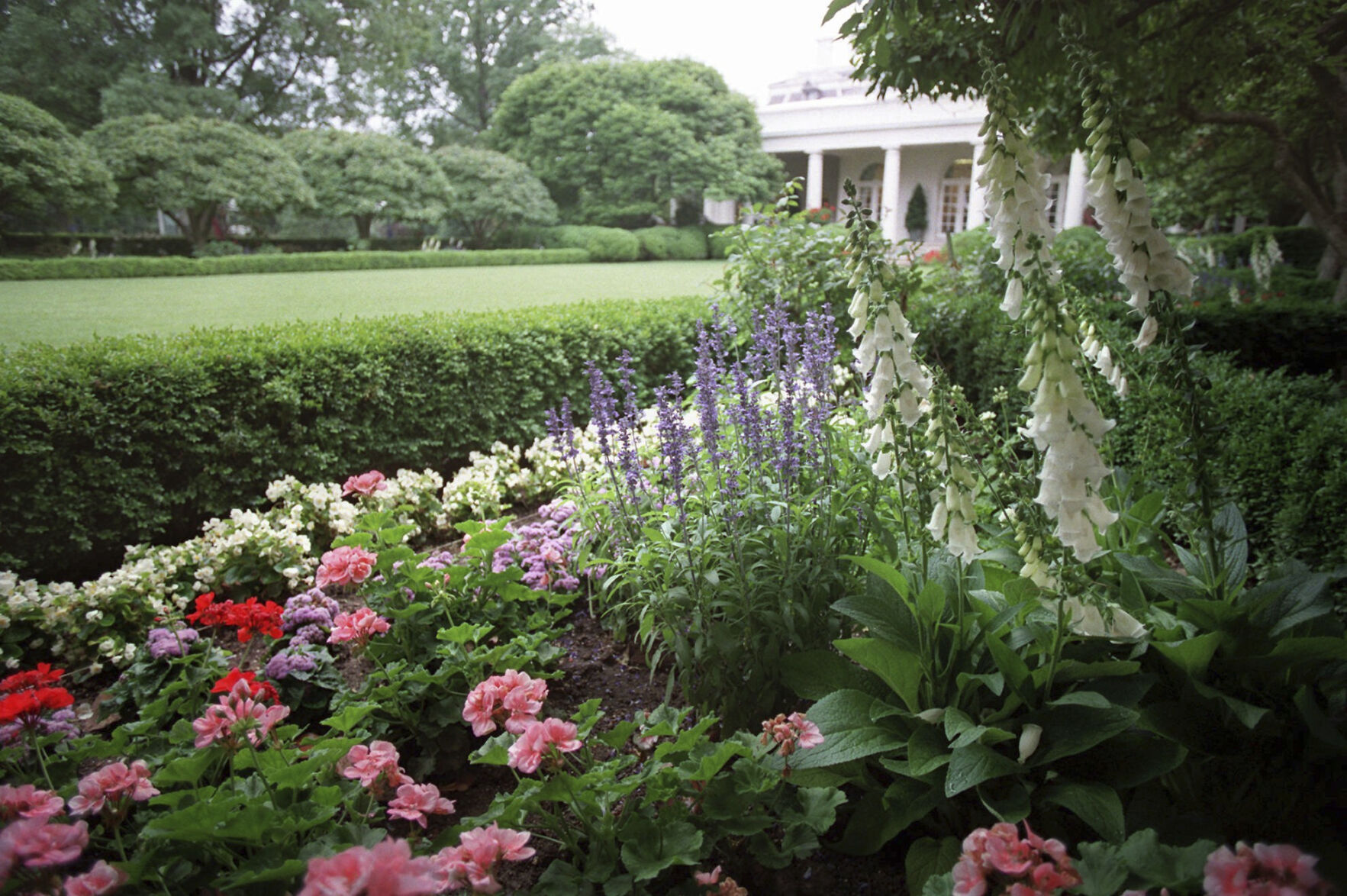 Trump Rose Garden
